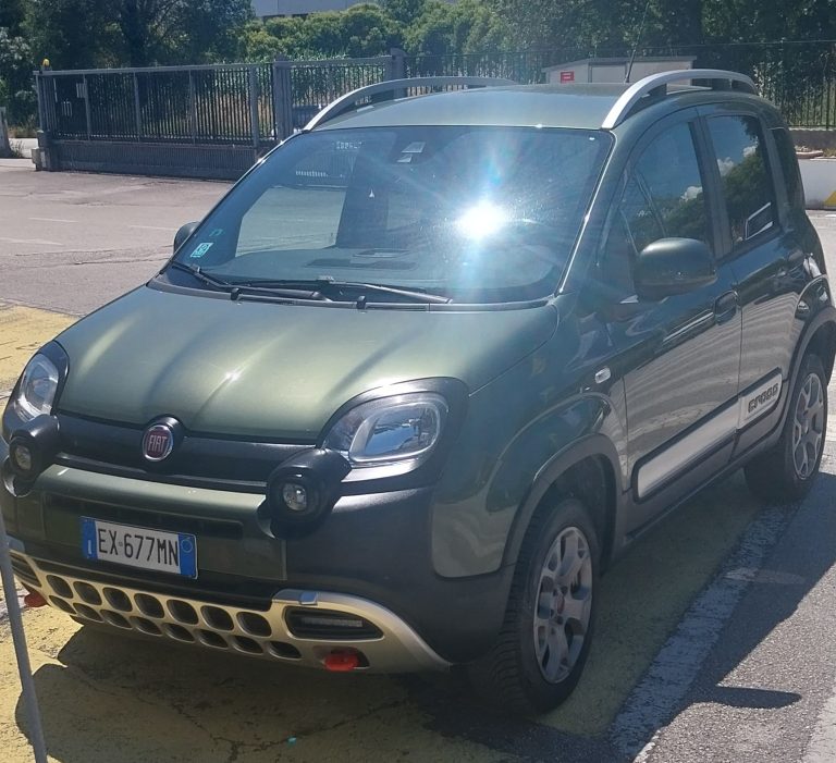 panda cross1