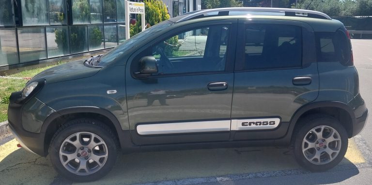 panda cross2